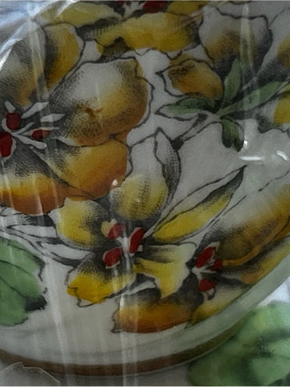 Vintage Geranium Salisbury Fine Bone China Teacup and Saucer made in England